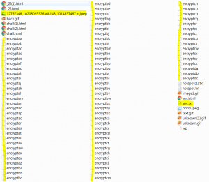 Fichiers exportés du pcapng